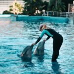 Oceanogràfic in Valencia: Admission