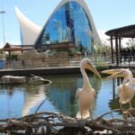 Oceanogràfic in Valencia: Admission
