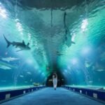 Oceanogràfic in Valencia: Admission