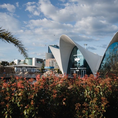Oceanogràfic in Valencia: Admission
