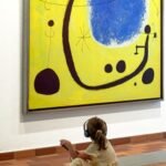 Fundació Joan Miró: Entrada sin colas