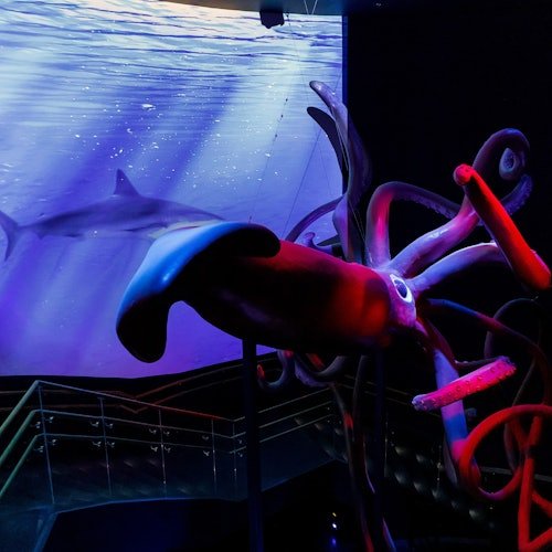 Atlantis Aquarium Madrid: Entrada