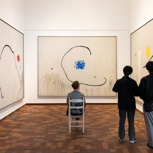 Fundació Joan Miró: Entrada sin colas