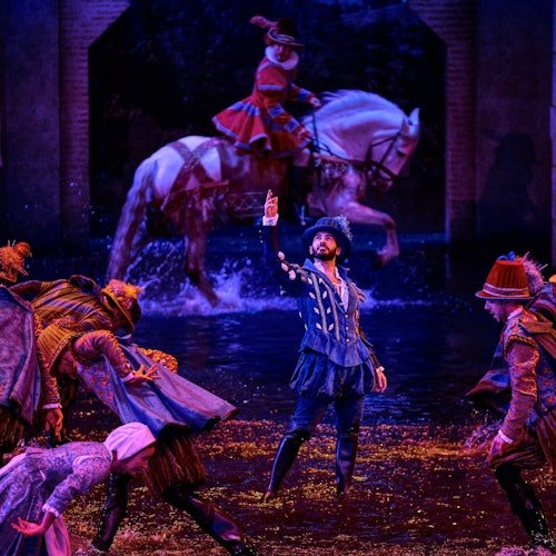 Puy du Fou España: Entrada