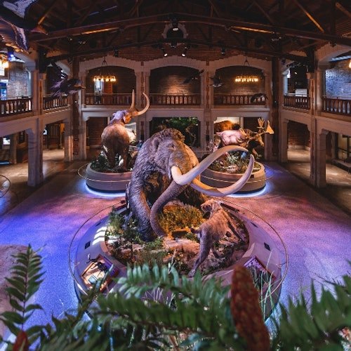 Toledo Zoo and Aquarium: Admission