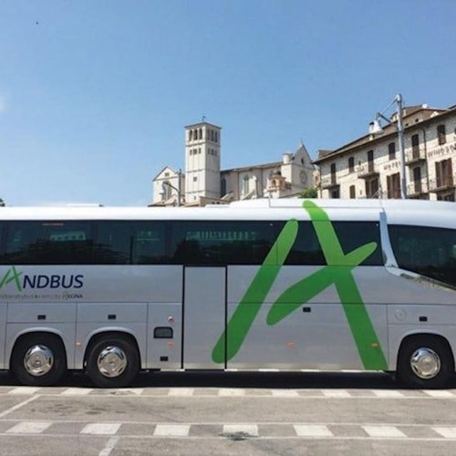 Desde Andorra la Vella: Traslado en autobús de ida a Barcelona