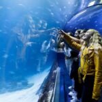 Atlantis Aquarium Madrid: Entrada