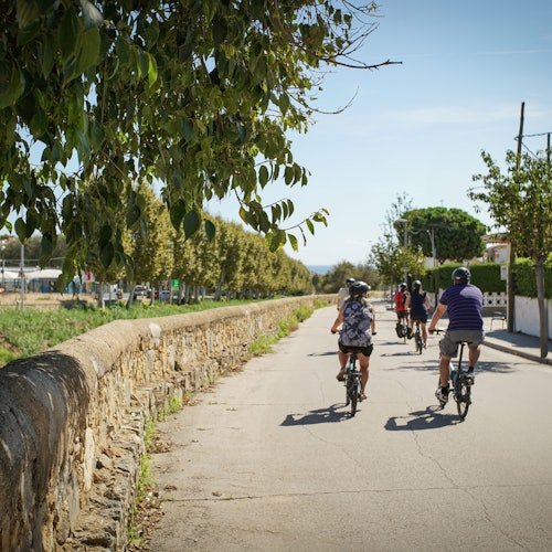Excursión de Medio Día por Barcelona: E-Bike, Visita a Viñedos, Cata de Vinos y Vela