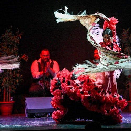 Barcelona City Hall Teatro: Espectáculo Flamenco