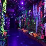 Museo Sweet Space: Entrada