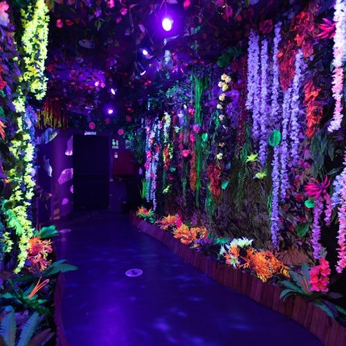 Museo Sweet Space: Entrada