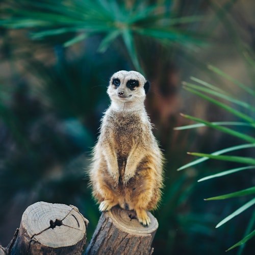 Zoo de Barcelona: Entrada sin colas