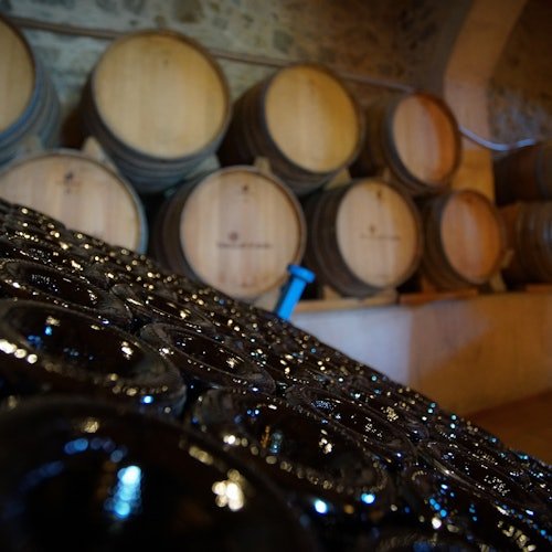Excursión de Medio Día por Barcelona: E-Bike, Visita a Viñedos, Cata de Vinos y Vela