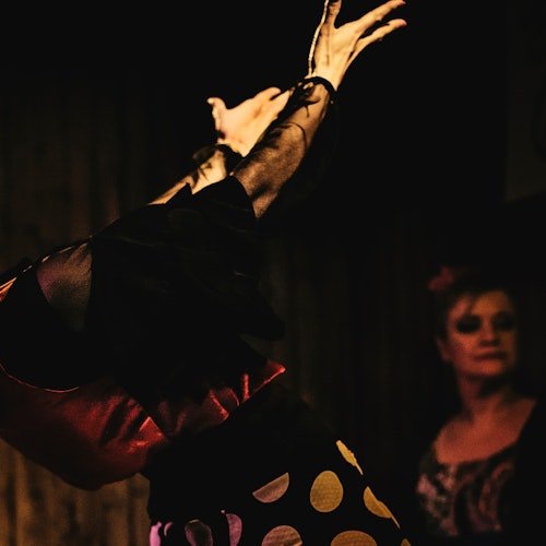 El Cortijo Flamenco Tavern: Flamenco Show + Optional Tapas