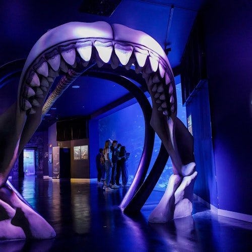 Atlantis Aquarium Madrid: Entrada
