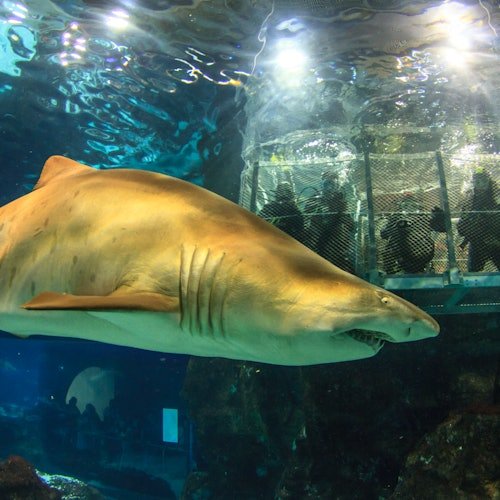 Pase Zoo de Barcelona + Acuario
