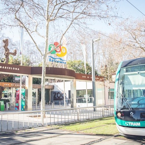 Zoo de Barcelona: Entrada sin colas