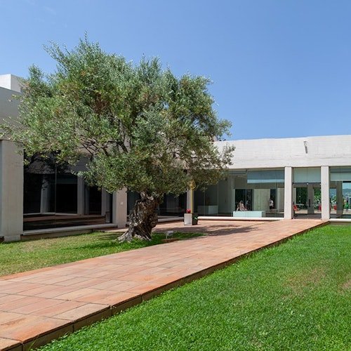 Fundació Joan Miró: Entrada sin colas