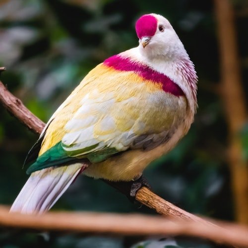 Toledo Zoo and Aquarium: Admission