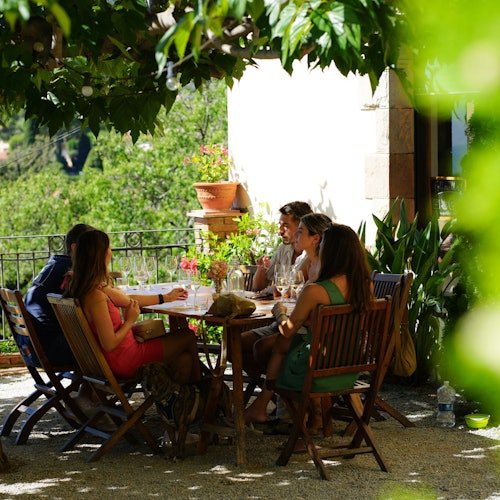 Excursión de Medio Día por Barcelona: E-Bike, Visita a Viñedos, Cata de Vinos y Vela