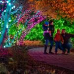 Toledo Zoo: "Lights Before Christmas" Admission
