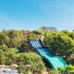Caribe Aquatic Park y PortAventura: Entrada de 1 día, día y noche