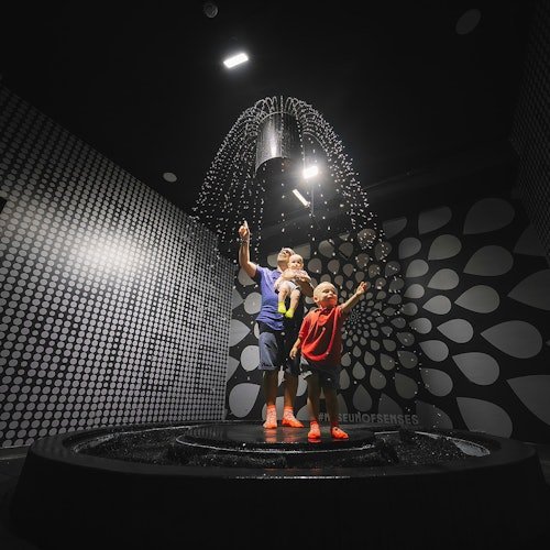 Museo de los Sentidos Madrid: Entrada