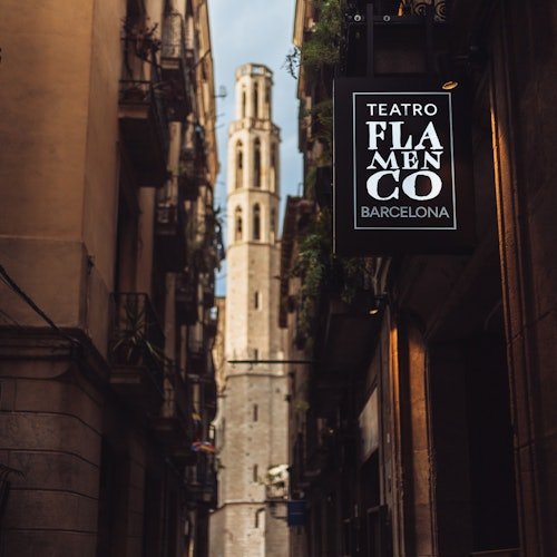 Teatro Flamenco Barcelona: Espectáculo Flamenco