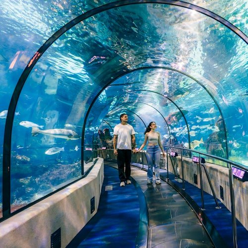 Aquarium de Barcelona: Entrada
