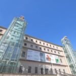 Museo Reina Sofía: Entrada + Audioguía
