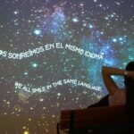 Museum of Happiness: Admission