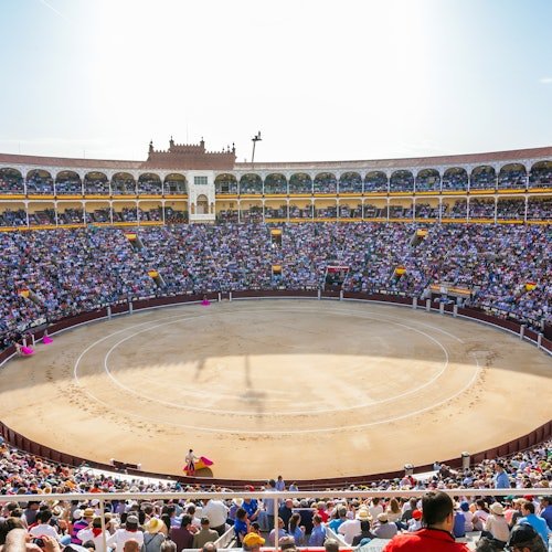 Plaza de Toros y Museo de Las Ventas: Entrada + Audioguía