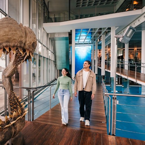 Aquarium de Barcelona: Entrada