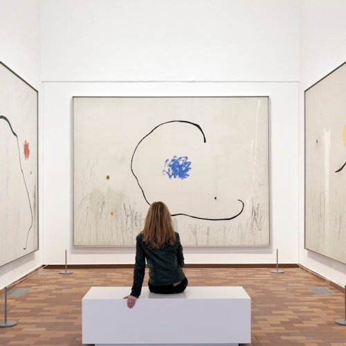 Fundació Joan Miró: Entrada sin colas
