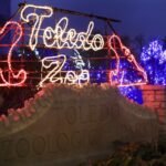 Toledo Zoo: "Lights Before Christmas" Admission