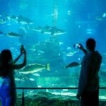Aquarium de Barcelona: Entrada