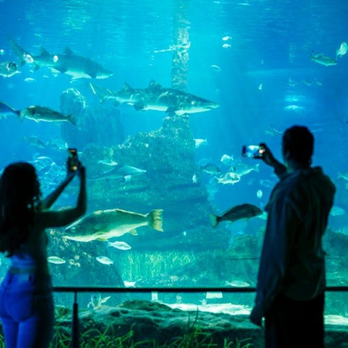 Aquarium de Barcelona: Entrada