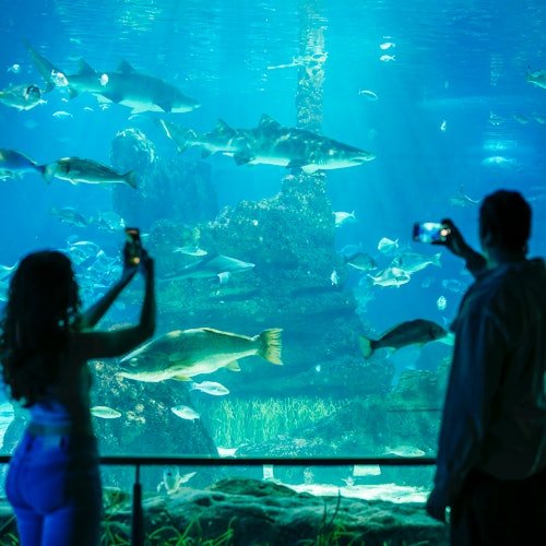 Pase Zoo de Barcelona + Acuario