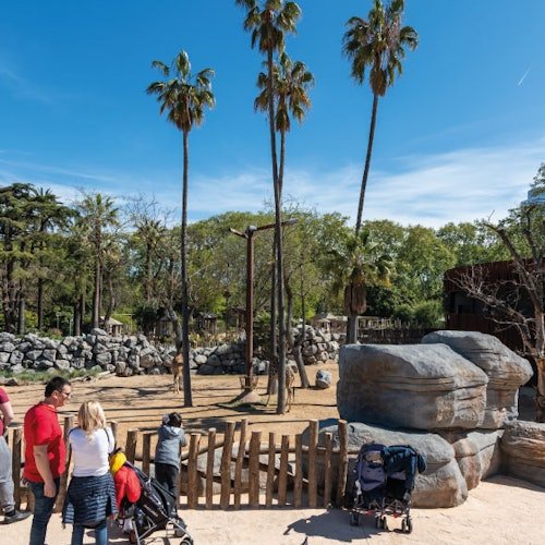 Zoo de Barcelona: Entrada sin colas