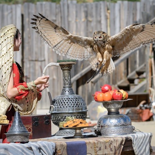 Puy du Fou Spain: Admission