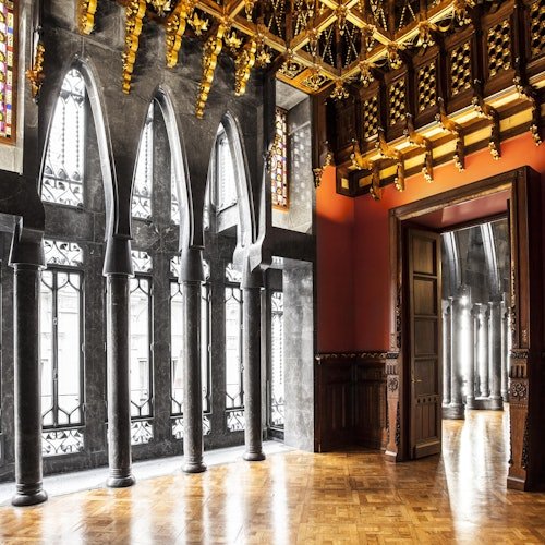 Palau Güell (Palacio Güell): Entrada