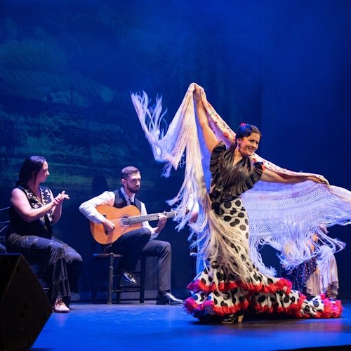 Teatro Flamenco Barcelona: Espectáculo Flamenco