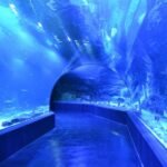 Atlantis Aquarium Madrid: Entrada