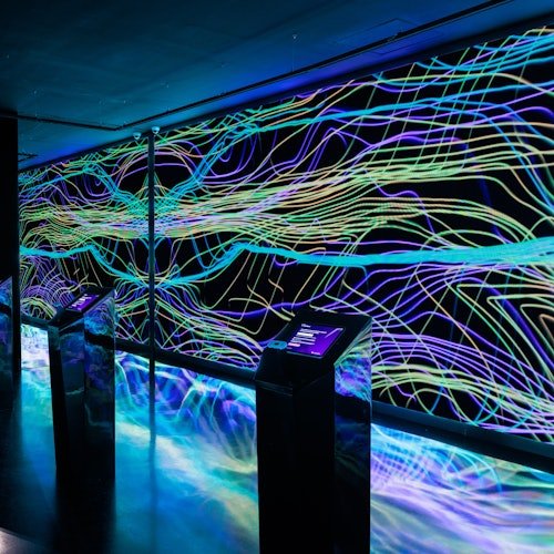 Museo Moco Barcelona: Entrada sin colas + Audioguía