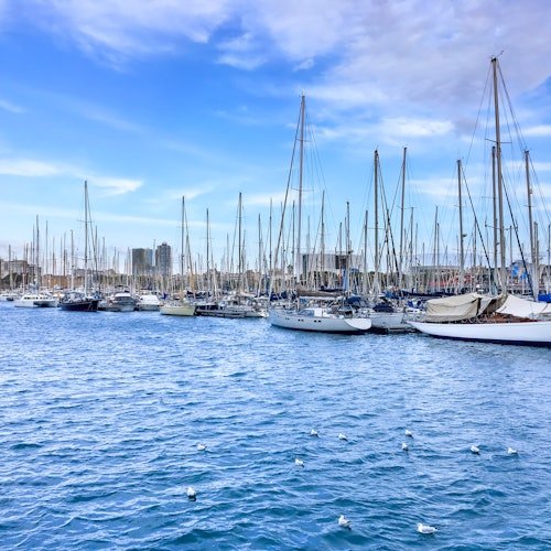 Barcelona: "Las Golondrinas" Navegación de 1 hora por la costa