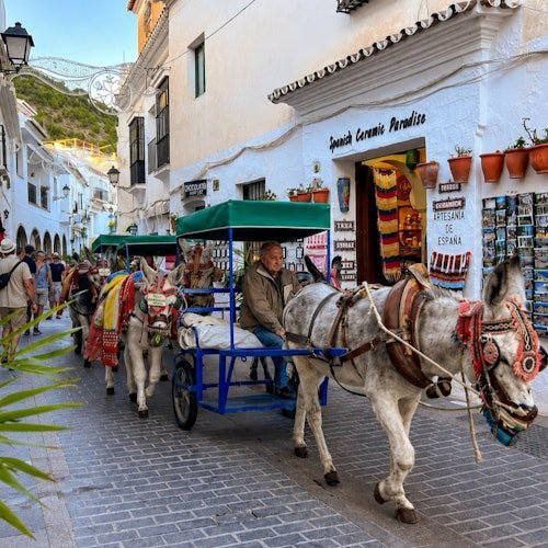 Gibraltar y Mijas: excursión guiada de día completo desde Málaga