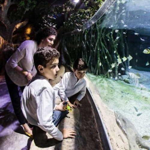 Acuario de Sevilla: Entrada