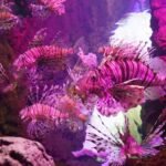 Acuario de Sevilla: Entrada