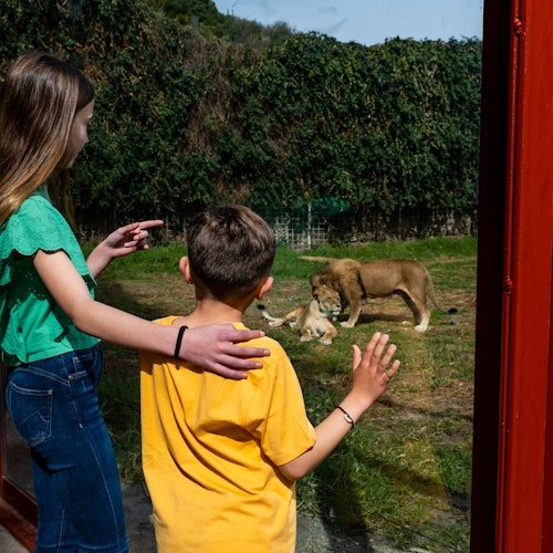 Selwo Aventura Estepona: Admission