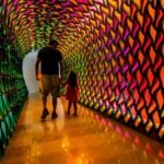 Centro de Arte Hortensia Herrero: Entrada